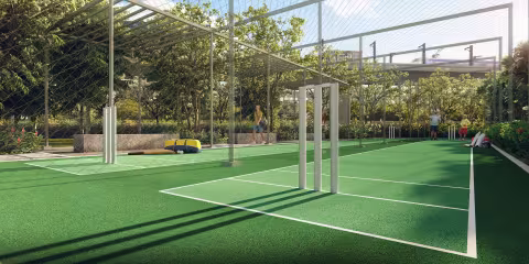 Cricket nets