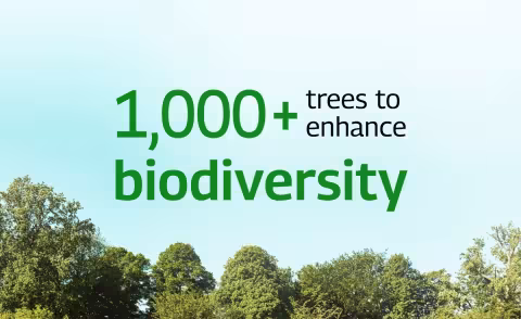 SustainabilityCards3