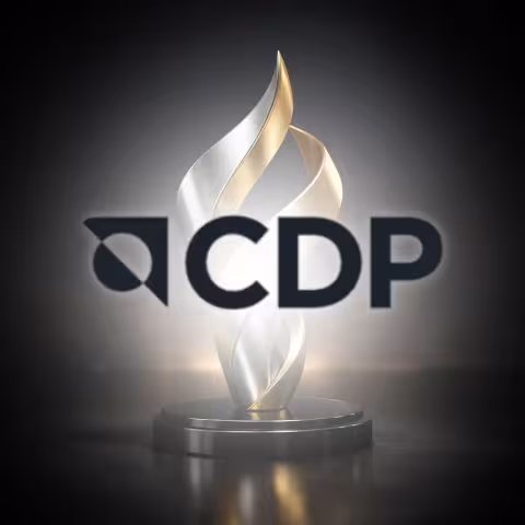 Carbon Disclosure Project (CDP)
